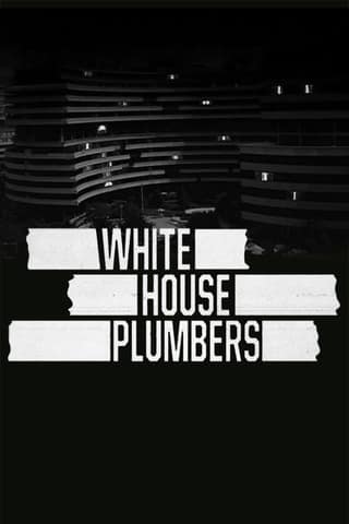 The White House Plumbers online